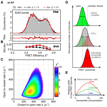2016_Hohlbein_CH0030_Fig003_Kapanidis_v1_Orig
