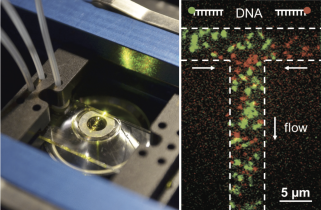 Proceeding: A Nanofluidic Mixing Device for High-Throughput ...