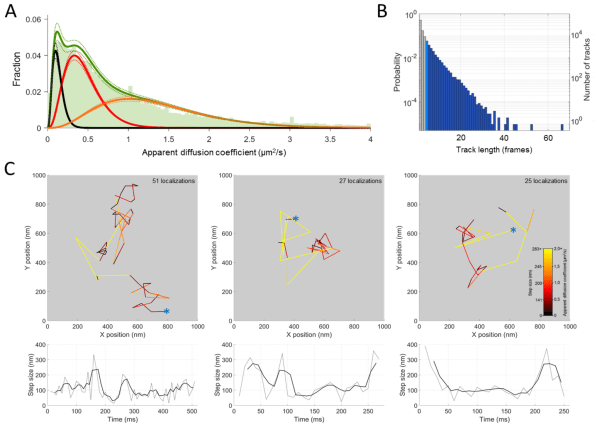 screenshot 2019-01-24 at 09.23.00